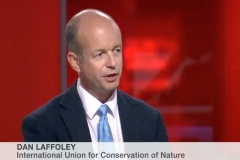 Dan on BBC News, October 2013
